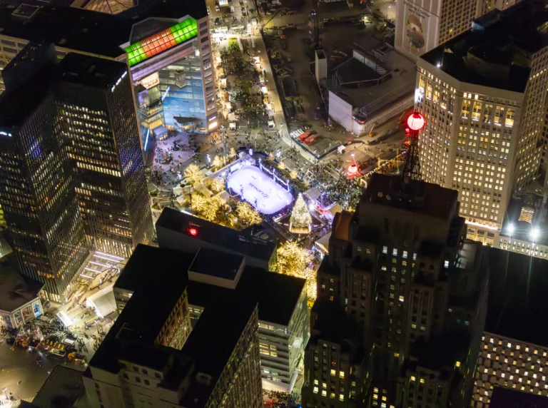 MFT_Detroit_Christmaslights_tourphoto1