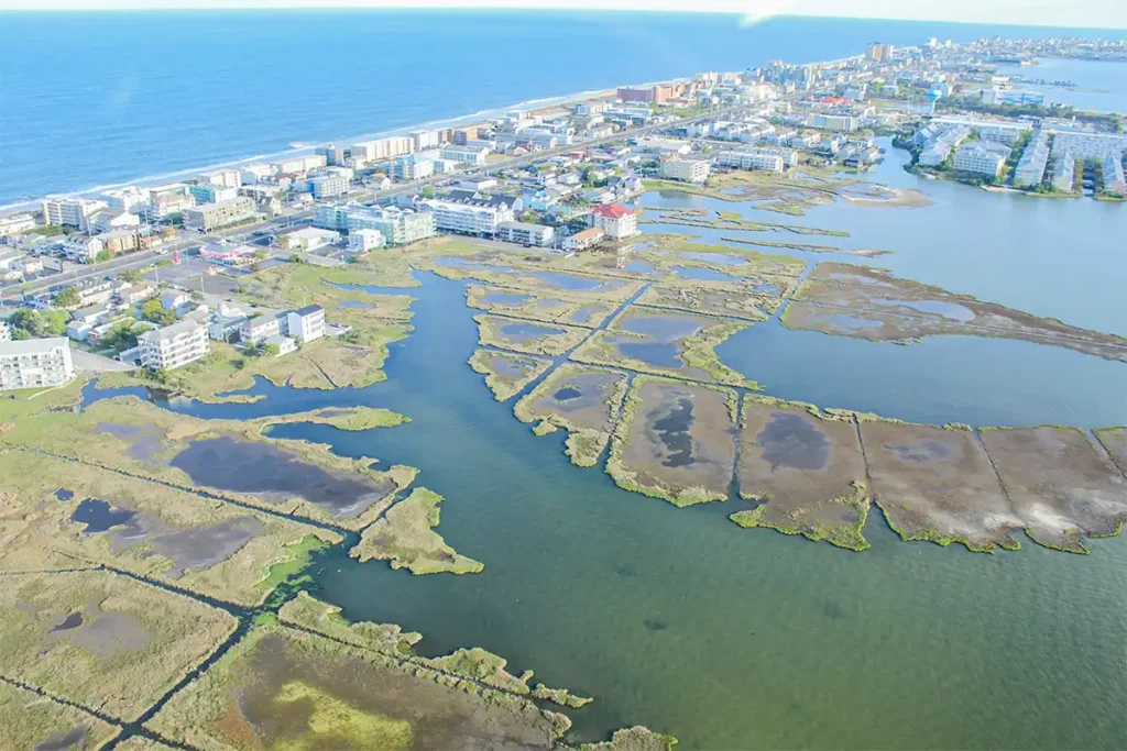 North Ocean City, Devil Island (?)