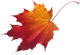 Fall Leaf Michigan MyFlight Tours